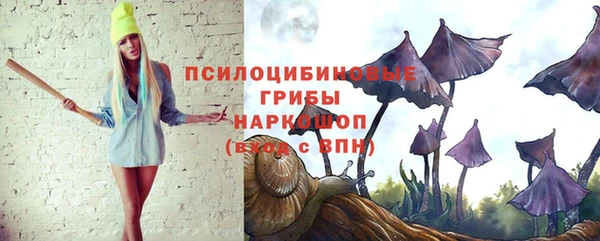 твердый Кинешма