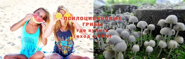 марки lsd Киреевск